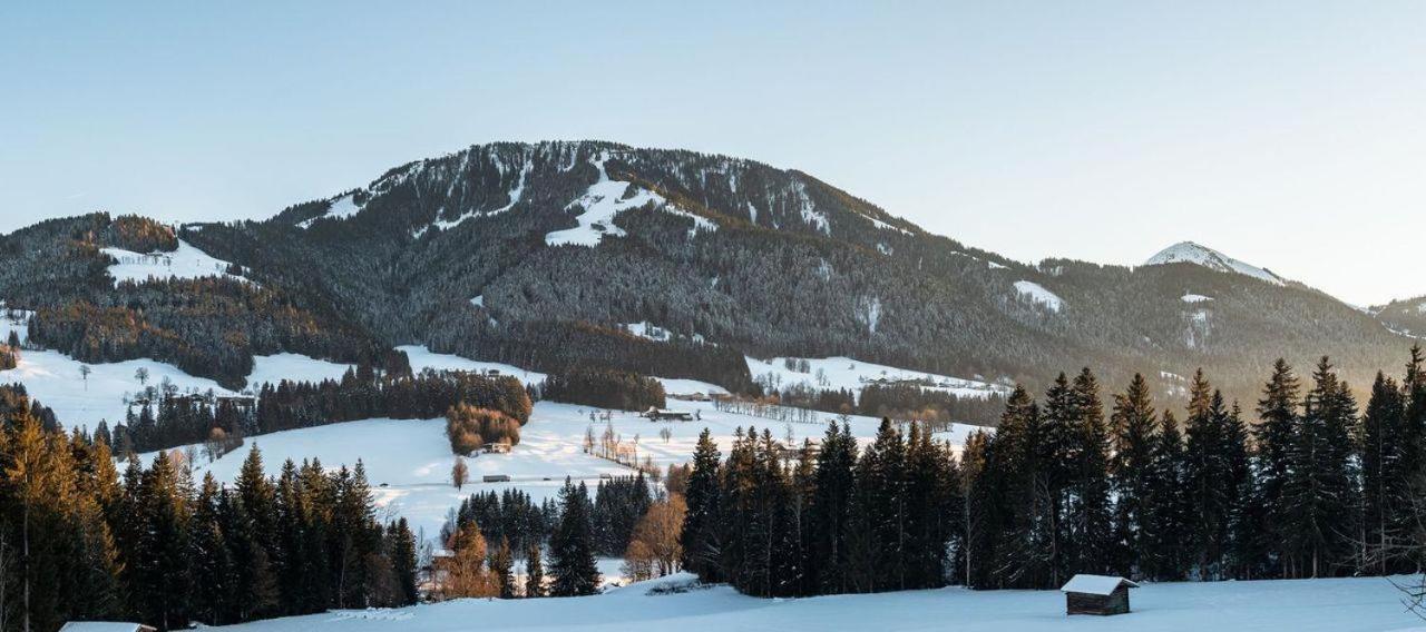 Ferienwohnung Bergliebe Scheffau am Wilden Kaiser Bagian luar foto
